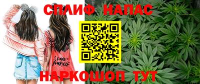 СК Рязань