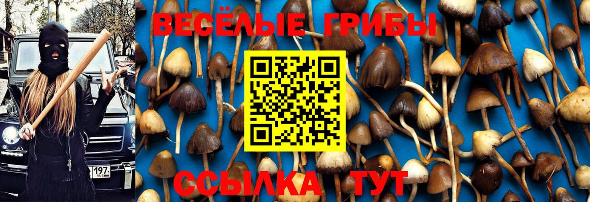 Псилоцибиновые грибы Psilocybine cubensis  Вход с VPN  Галлюциногенные грибы Cubensis  Павловский Посад 